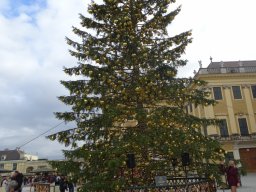 Christkindlmarkt Schönbrunn am 10. 11. 2025